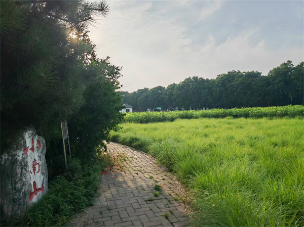 第十名 37王军智-春深草木秀,绿满小南山.jpg