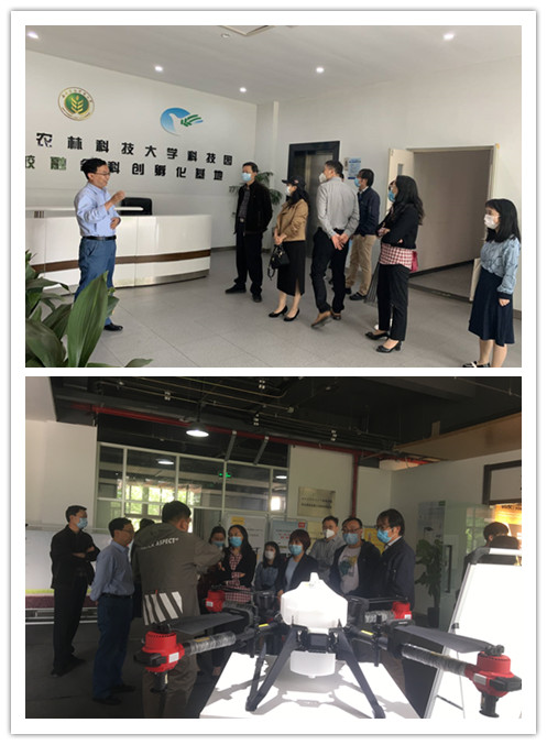 34f142d1c9e64758b8472c7cdfe9fa27.jpg 未命名_副本-ws2.jpg