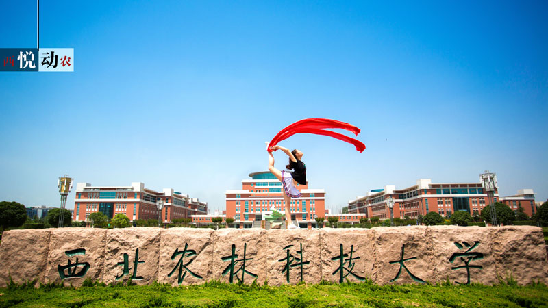 e278fc7ff27d4aaeb2f79ea91a2a5427.jpg e278fc7ff27d4aaeb2f79ea91a2a5427.jpg